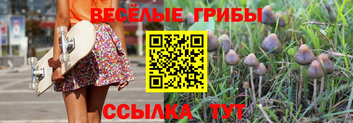 Сердобск  наркота  Вход с VPN  Галлюциногенные грибы ЛСД  Псилоцибиновые грибы GOLDEN TEACHER 