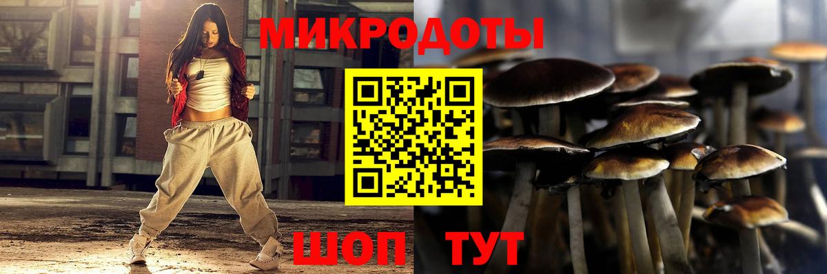 Псилоцибиновые грибы GOLDEN TEACHER Сердобск